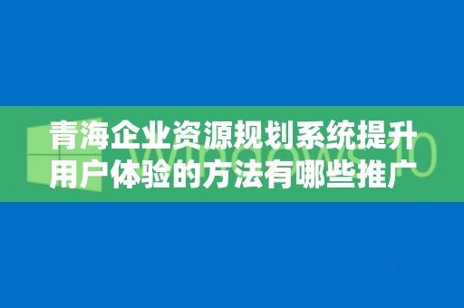青海企业资源规划系统提升用户体验的方法有哪些推广方式有哪些
