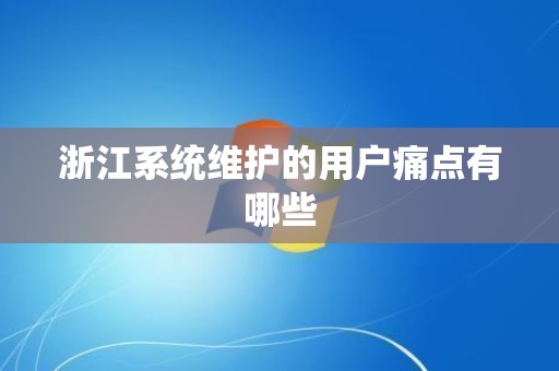 浙江系统维护的用户痛点有哪些