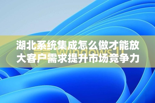 湖北系统集成怎么做才能放大客户需求提升市场竞争力