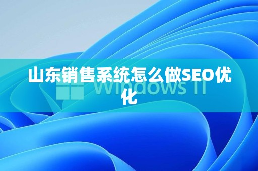 山东销售系统怎么做SEO优化