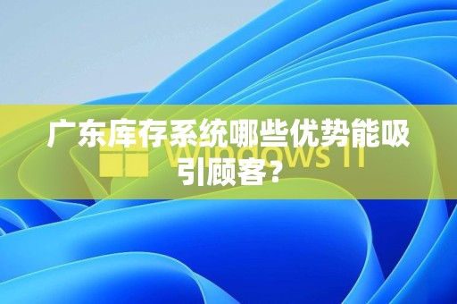 广东库存系统哪些优势能吸引顾客？