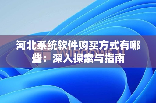 河北系统软件购买方式有哪些：深入探索与指南