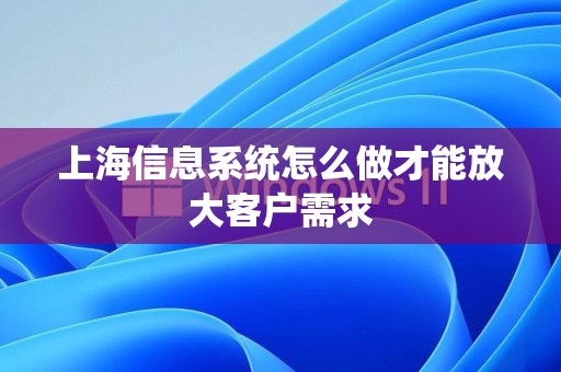 上海信息系统怎么做才能放大客户需求