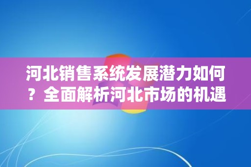 河北销售系统发展潜力如何？全面解析河北市场的机遇与挑战