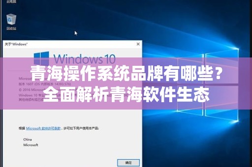 青海操作系统品牌有哪些？全面解析青海软件生态