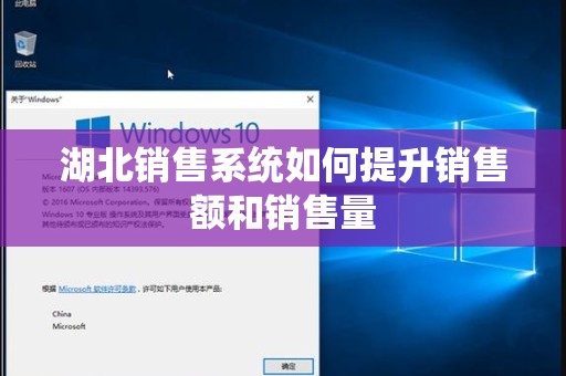 湖北销售系统如何提升销售额和销售量