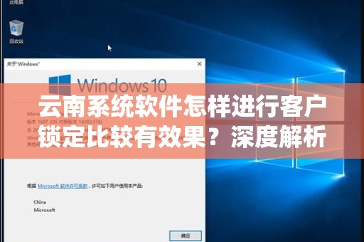 云南系统软件怎样进行客户锁定比较有效果？深度解析与实践