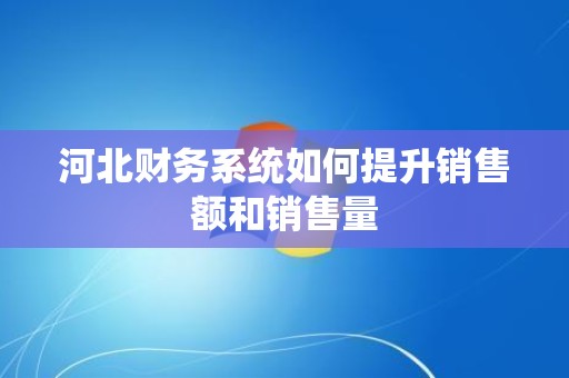 河北财务系统如何提升销售额和销售量