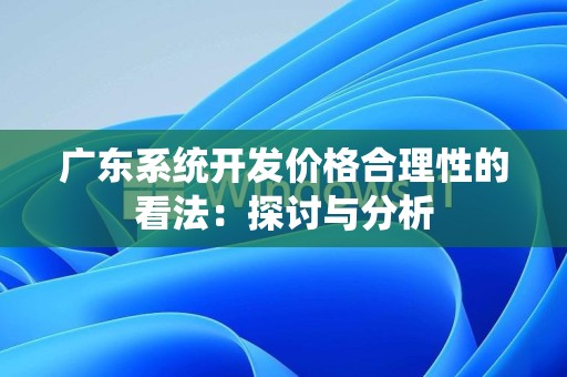 广东系统开发价格合理性的看法：探讨与分析
