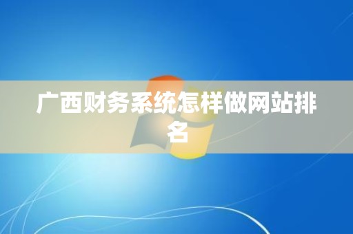 广西财务系统怎样做网站排名