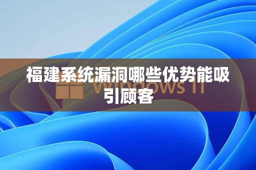 福建系统漏洞哪些优势能吸引顾客
