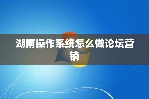 湖南操作系统怎么做论坛营销