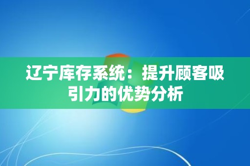 辽宁库存系统：提升顾客吸引力的优势分析