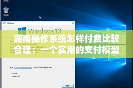 湖南操作系统怎样付费比较合理：一个实用的支付模型探讨