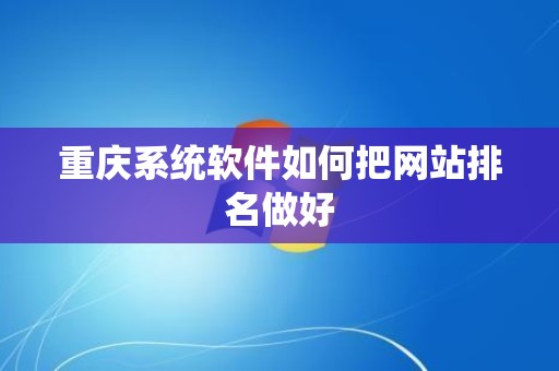 重庆系统软件如何把网站排名做好