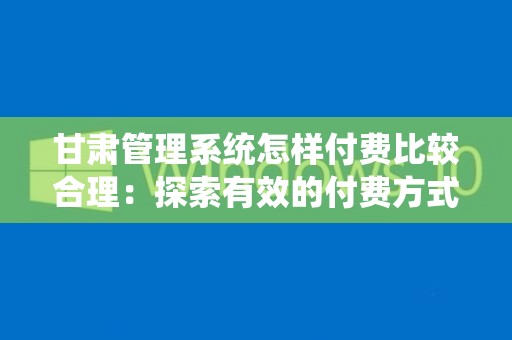 甘肃管理系统怎样付费比较合理：探索有效的付费方式