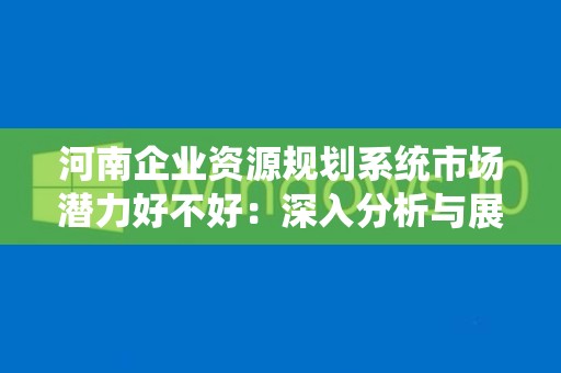 河南企业资源规划系统市场潜力好不好：深入分析与展望