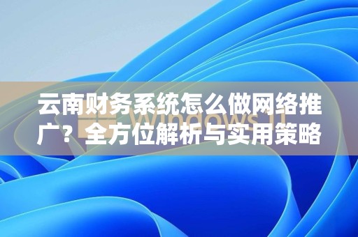 云南财务系统怎么做网络推广？全方位解析与实用策略