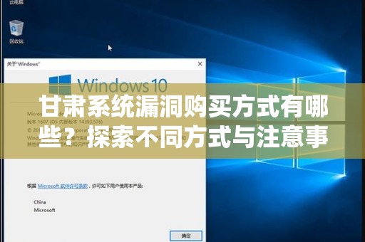 甘肃系统漏洞购买方式有哪些？探索不同方式与注意事项