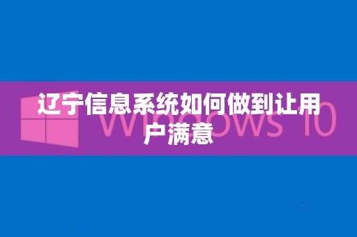 辽宁信息系统如何做到让用户满意