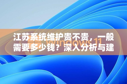 江苏系统维护贵不贵，一般需要多少钱？深入分析与建议