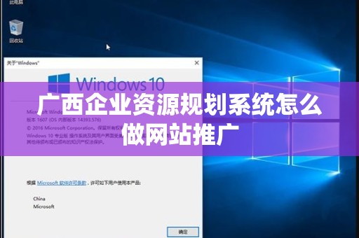 广西企业资源规划系统怎么做网站推广