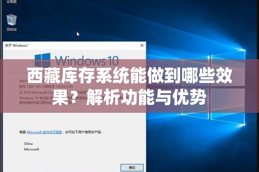 西藏库存系统能做到哪些效果？解析功能与优势