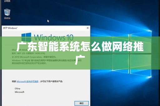广东智能系统怎么做网络推广