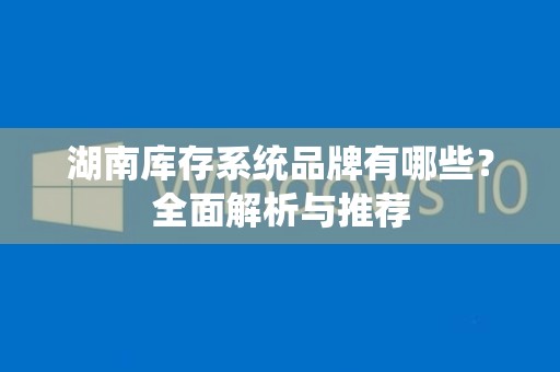 湖南库存系统品牌有哪些？全面解析与推荐