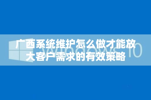 广西系统维护怎么做才能放大客户需求的有效策略