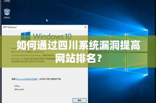 如何通过四川系统漏洞提高网站排名？