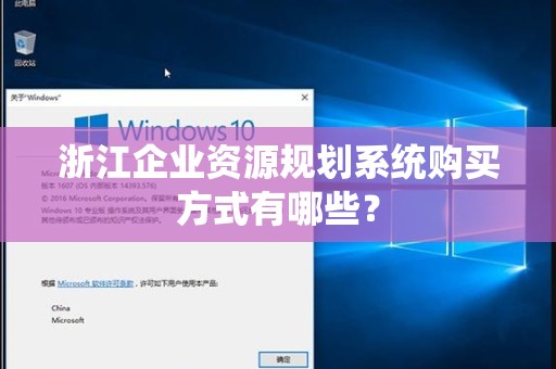 浙江企业资源规划系统购买方式有哪些？