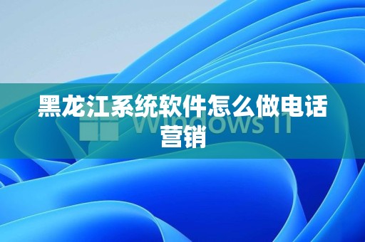 黑龙江系统软件怎么做电话营销