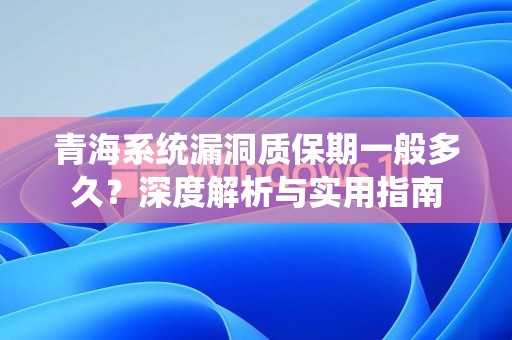 青海系统漏洞质保期一般多久？深度解析与实用指南
