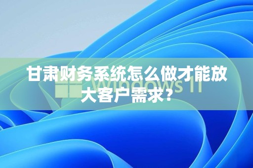 甘肃财务系统怎么做才能放大客户需求？