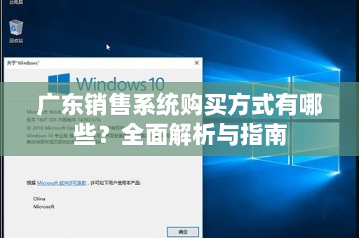 广东销售系统购买方式有哪些？全面解析与指南
