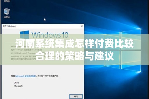 河南系统集成怎样付费比较合理的策略与建议