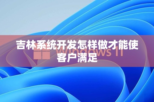 吉林系统开发怎样做才能使客户满足