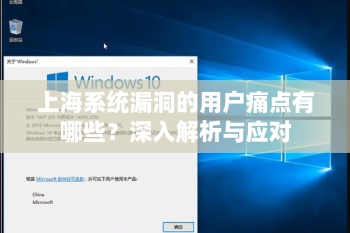 上海系统漏洞的用户痛点有哪些？深入解析与应对