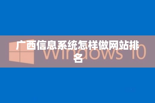 广西信息系统怎样做网站排名