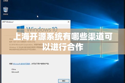 上海开源系统有哪些渠道可以进行合作