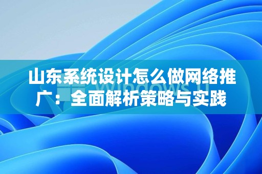 山东系统设计怎么做网络推广：全面解析策略与实践