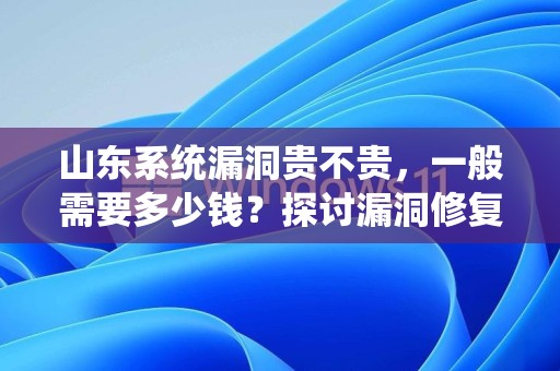 山东系统漏洞贵不贵，一般需要多少钱？探讨漏洞修复的成本和价值