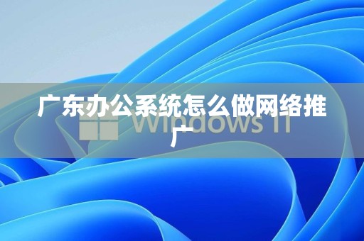 广东办公系统怎么做网络推广