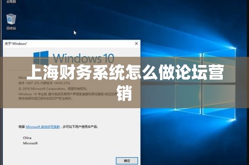 上海财务系统怎么做论坛营销
