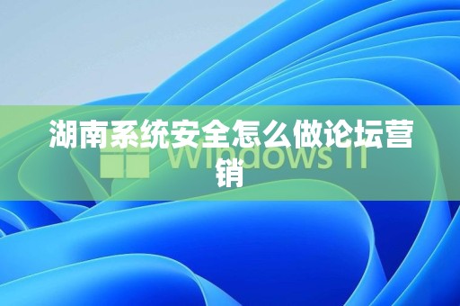 湖南系统安全怎么做论坛营销