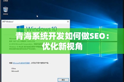 青海系统开发如何做SEO：优化新视角
