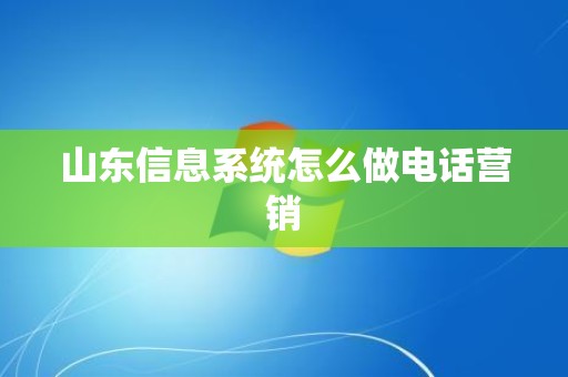 山东信息系统怎么做电话营销