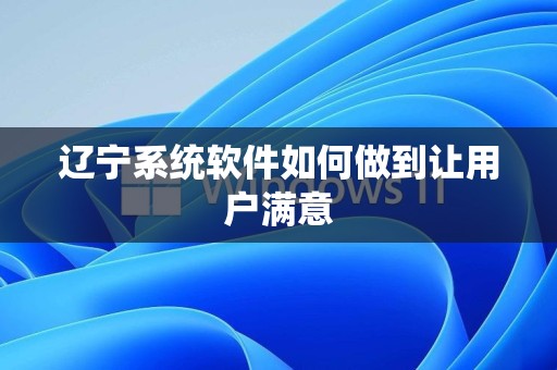 辽宁系统软件如何做到让用户满意
