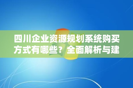 四川企业资源规划系统购买方式有哪些？全面解析与建议